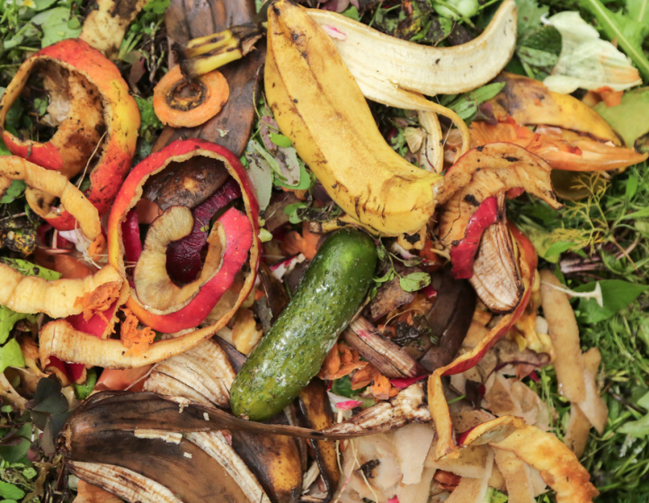 bio-waste