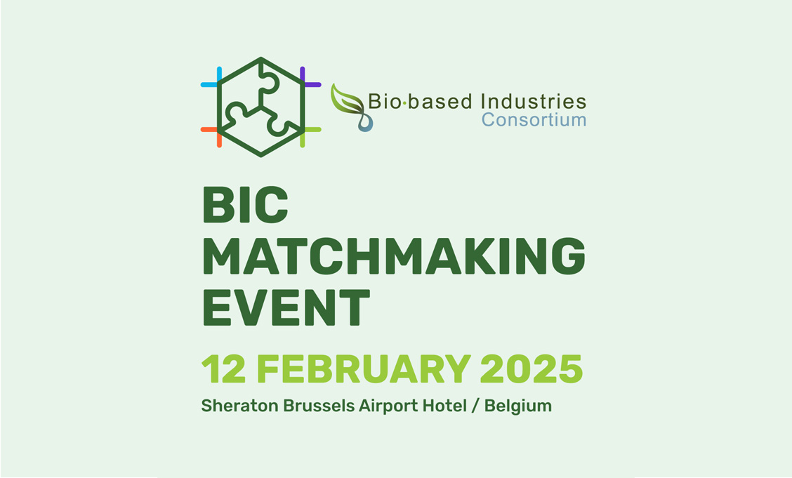 BIC Matchmaking Event 2025